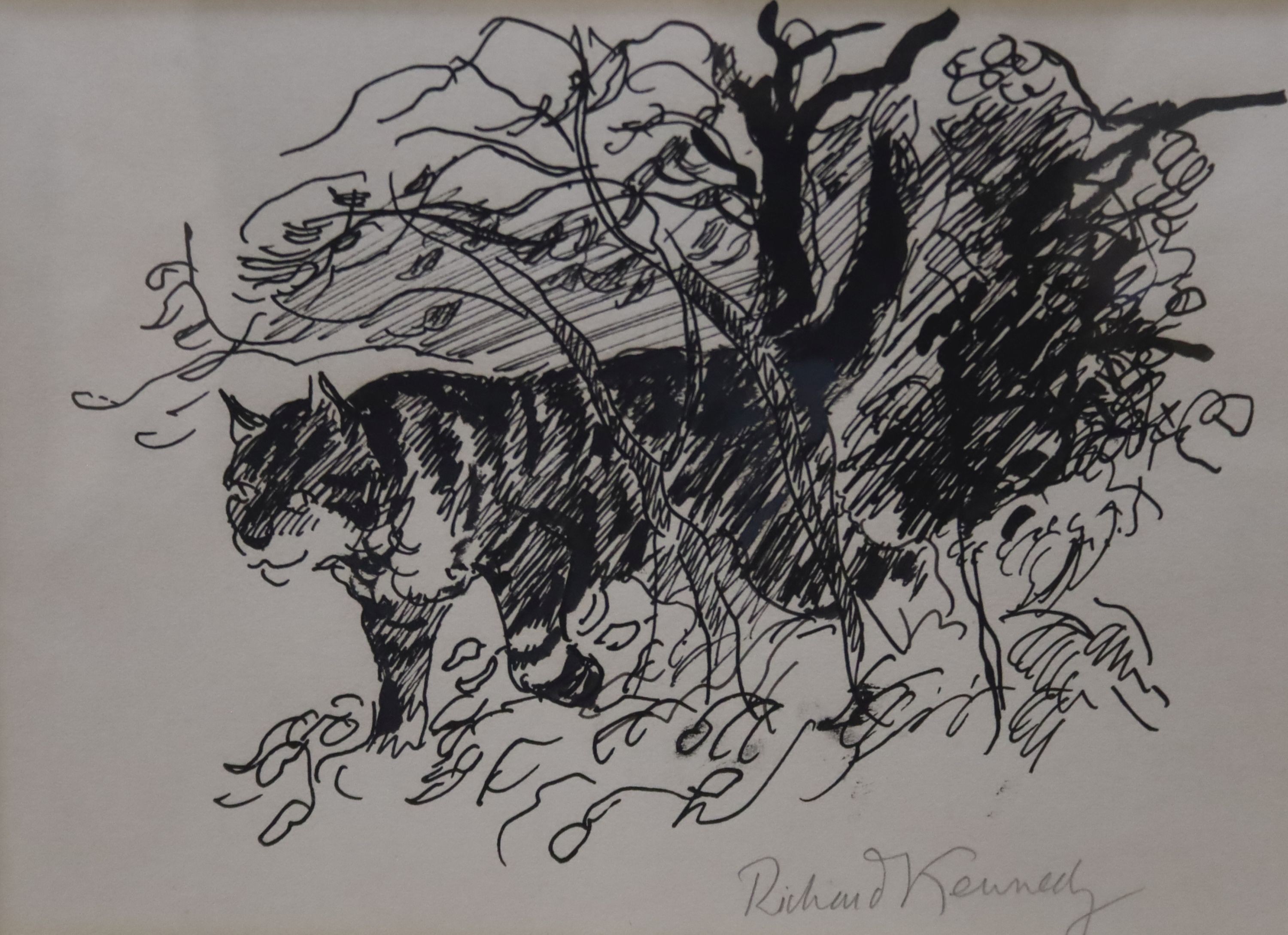 Richard Kennedy (1910-1989), pen and ink, 'Cat amongst the bushes', signed in pencil, 18 x 26cm